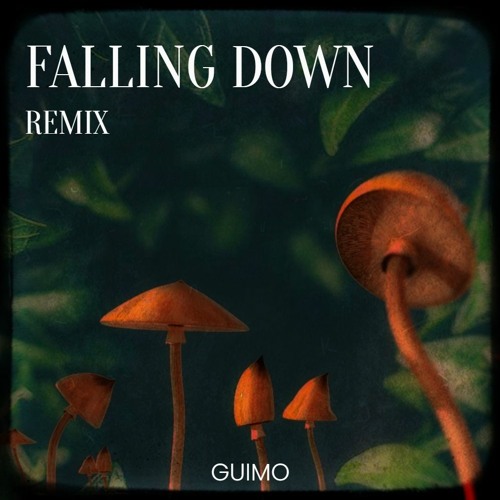 Falling Down - Guimo(Hard Techno Remix)