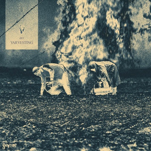 yarvesting 003
