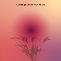 My Favorite Things (Arr. For Guitar)