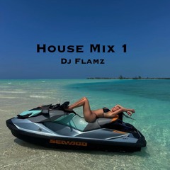 House Mix 1 - DJ Flamz