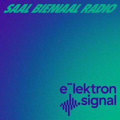 elektron signal. SAAL Biennaal radio - Main Theme