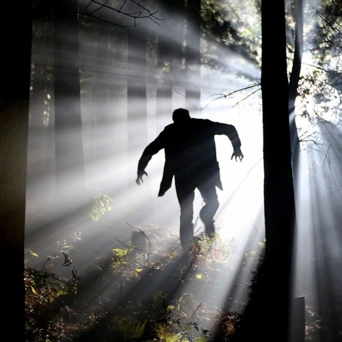 Mary Shelley's Frankenstein: A Deep Dive into Creation and Consequence