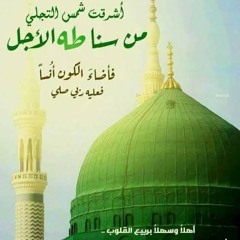 ولد الهدى فالكائنات ضياءُ-الشيخ سيد النقشبندى.mp3