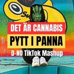 Cannabis i Pytt i Panna x Everything You Have Done (D-NO TikTok Mashup) [FREE DL]