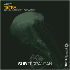 AREO - Tetra (Nth Factor Extended Remix) [Subterranean]