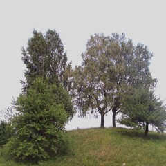 it's epunk mom, epunk is based, you wouldn't get it