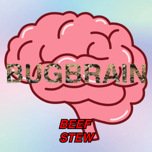 BUGBRAIN