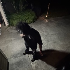 LateNightThnkn434am