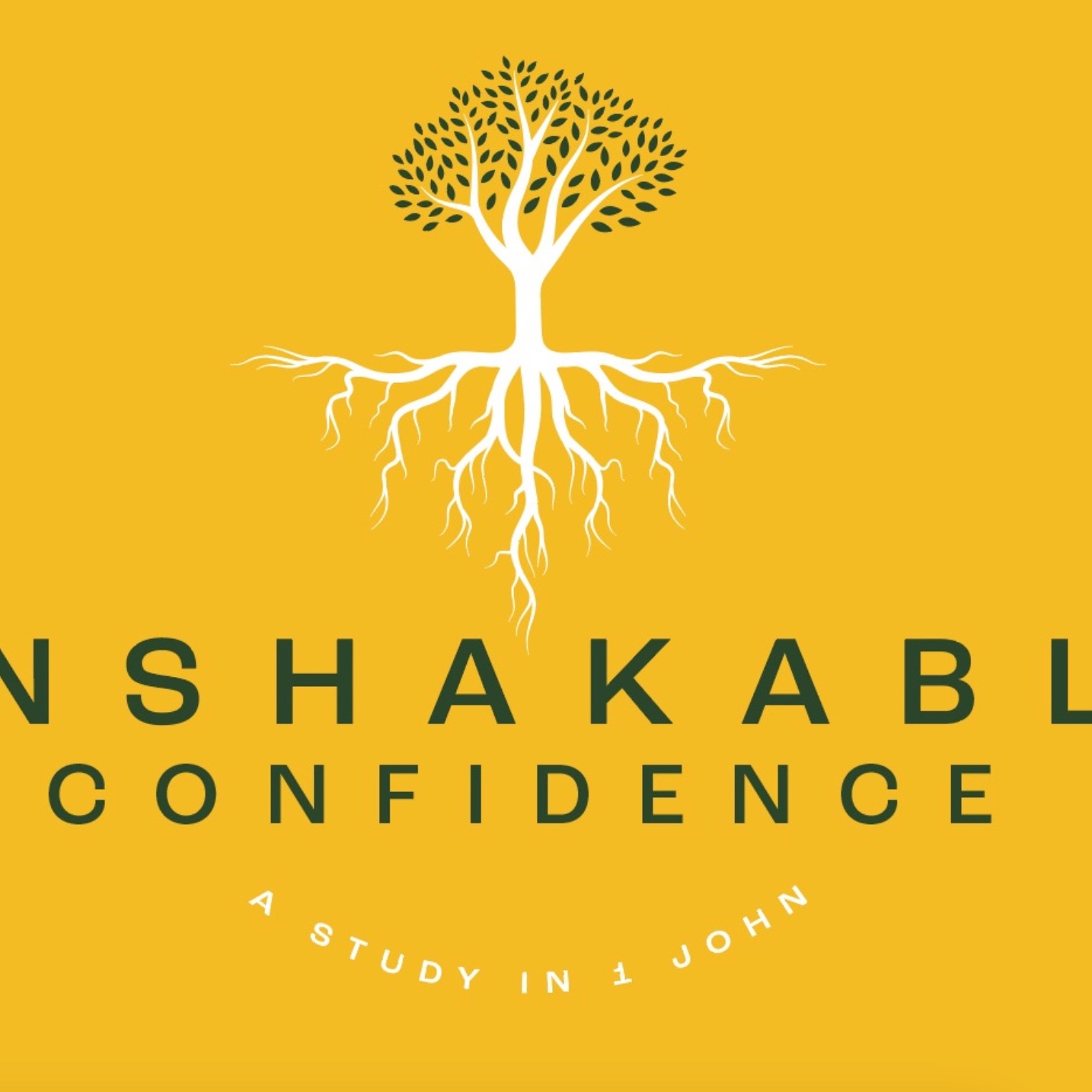 Hope Church Utah - Unshakeable Confidence - Unexpected Deception - 11 5 2023 episode artwork