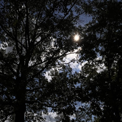 Saysum prod. hallowed