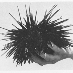 when I am in love with my instructor and we no longer speak