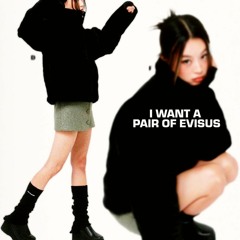 roxas - i want a pair of evisus +zootzie (CJ808)