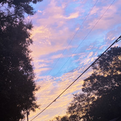 𝐌𝐢𝐝𝐝𝐲 𝐓𝐢𝐭𝐭𝐲 (𝐒𝐥𝐨𝐰𝐞𝐝+𝐑𝐞𝐯𝐞𝐫𝐛𝐬+𝐫𝐚𝐢𝐧)