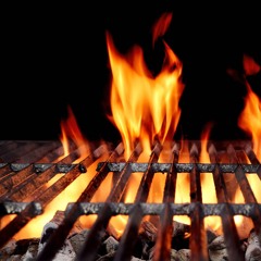 Chiq & Mr.Guest - BBQ mixing session 2008