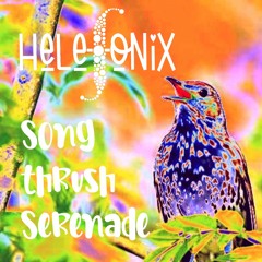 Song Thrush Serenade by Helefonix