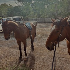 𝐌𝐔 𝐋𝐀𝐍 𝐍𝐀 𝐌𝐀 🔊