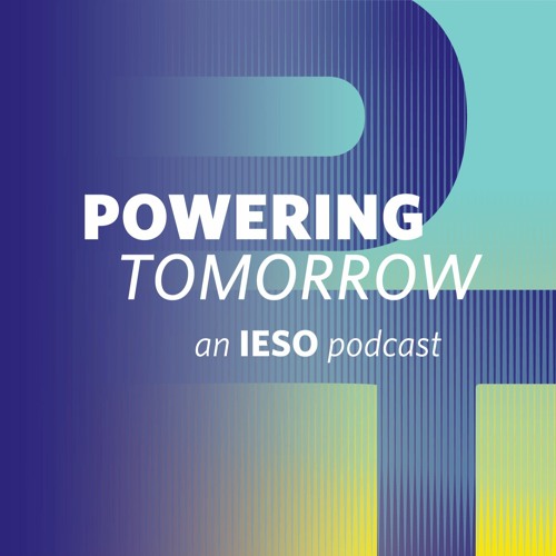 Stream episode The World’s Largest Machine: The North American Power ...