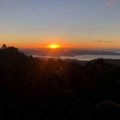 The Box Song (Voice Memo)