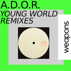 Pilsplaat x Young World (Shaddy)