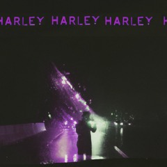 HARLEY - WAAL