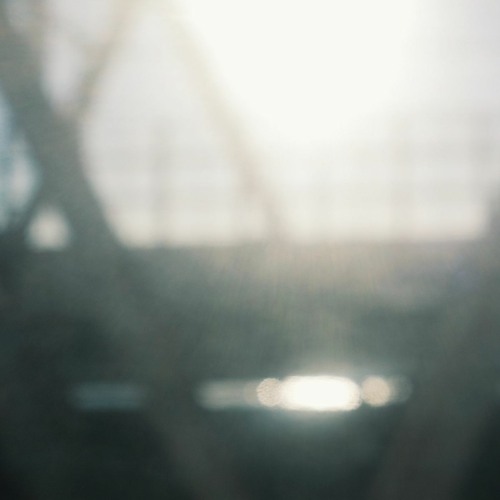 The Day When Winter And Spring Intersect - Sample