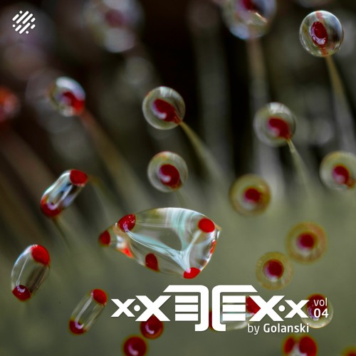 xXETEXx, Vol. 04 Compiled by Golanski (Digital structures)