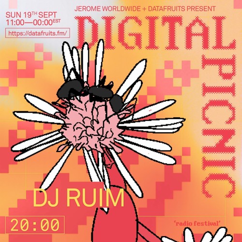 JEROME WORLDWIDE DIGITAL PICNIC - DJ RUIM