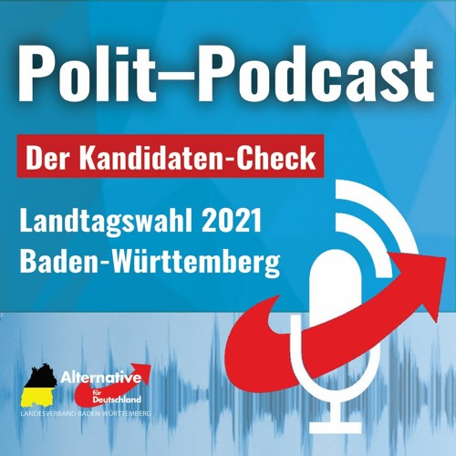 KandidatenCheck #8 | Polit-Podcast mit Michael Seher, Heilbronn | AfD Baden-Württemberg