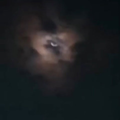 i beat the odds (smllslikekurtt)