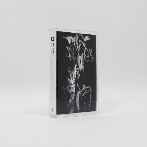 Duplicated Madness from "Xïola Yin - Self-Contained Illusion (The Peak)" (Dinzu Artefact, 2021)