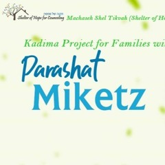 Parasha Miketz 5782 Kadima Project For Families With Children From 3 To 12 Years Old