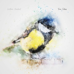 True Colors (Piano Version)