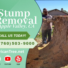 Stump Removal Apple Valley, CA