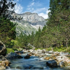 Flow of the Barrosa