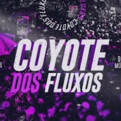 QUEM VEIO NÃO QUER SAI PATRICINHA QUER CONHECER - TIK TOK (DJ GH7 & DJ DZ)
