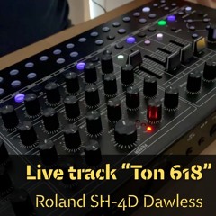 Hypnotic techno live track  "Ton 618" I Dawless with Roland SH-4D