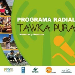 Tawka Pura - programa 101