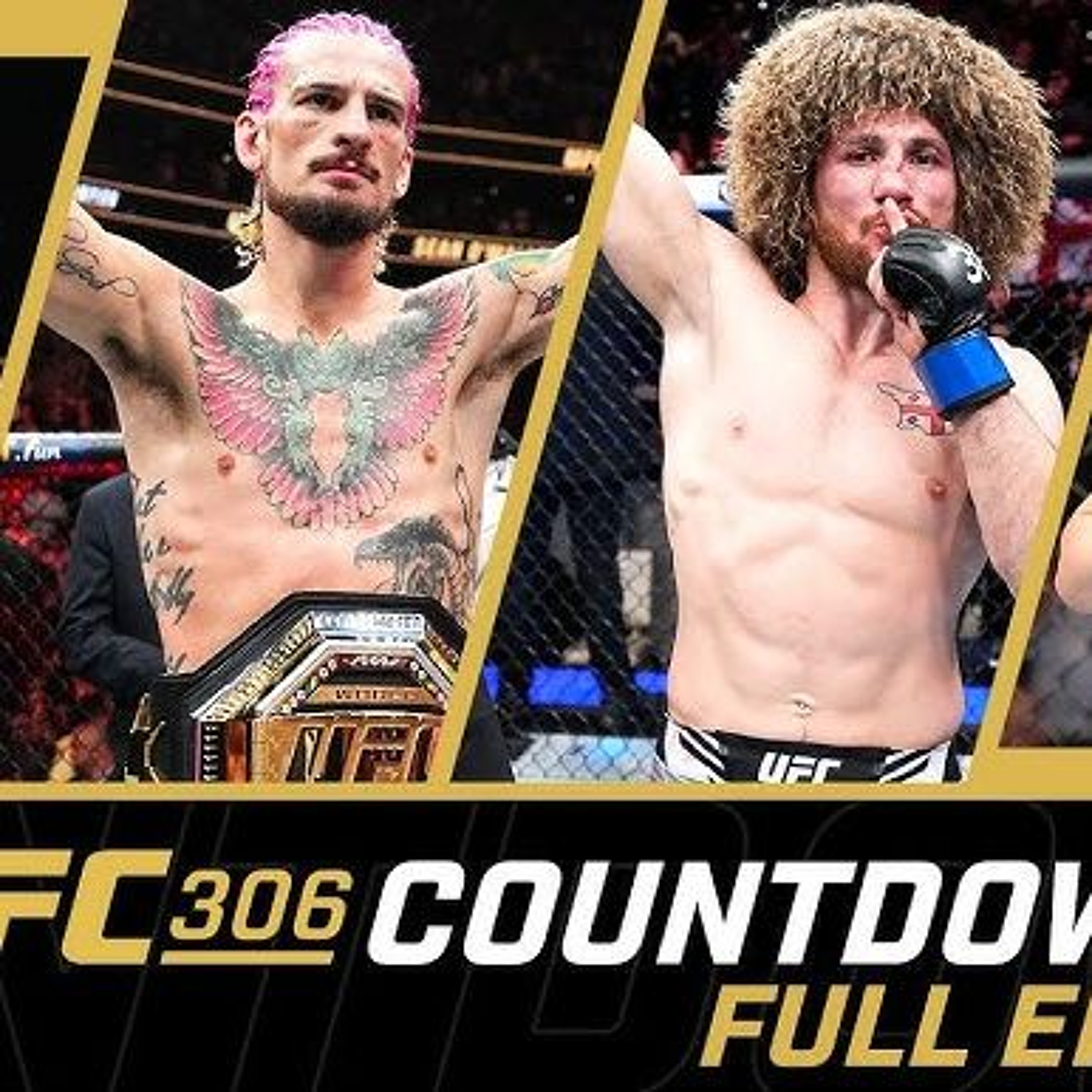 O'Malley vs Dvalishvili Countdown (AMP'd) | #UFC #UFC306 episode artwork