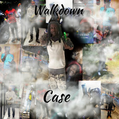 WalkDown - Case