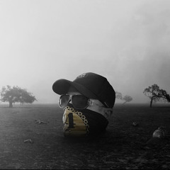 24K x Asme - Stordåd