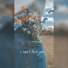 I can’t love you