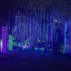 Finally Freestyle! p. fony wallace & chrin0