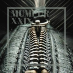 MuMPuR XXIX