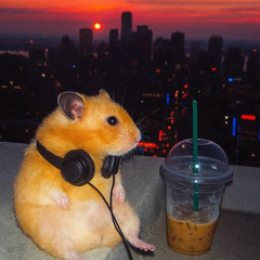 rat