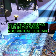 delto & rosesleeves - hair in the wind NBC virtual club mix