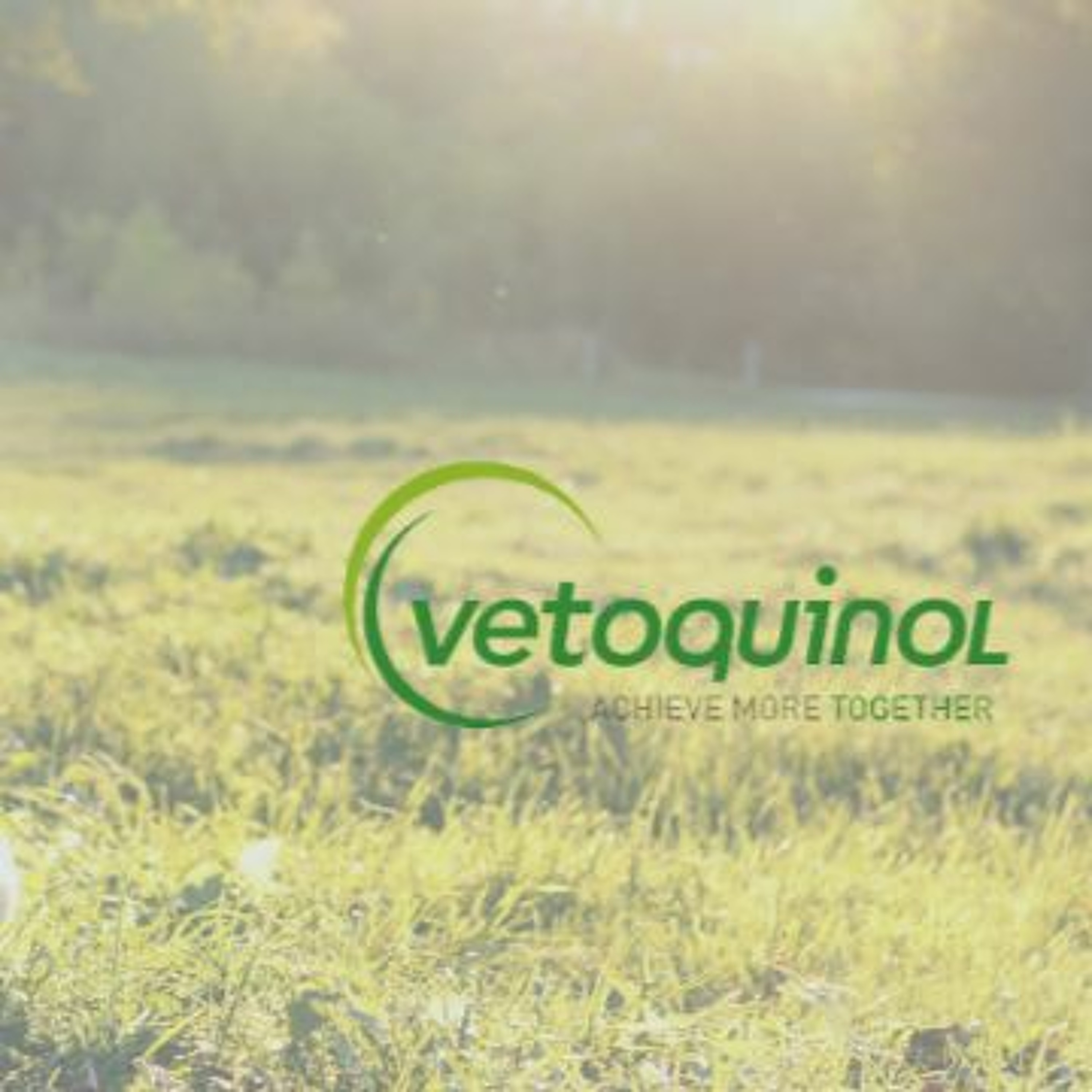 VetFolio Voice
