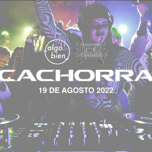 Cachorra @Algo Bien Space Cowboys (19 De Agosto, 2022)
