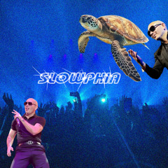 Pitbull & T-Pain- HEY BABY(DROP IT TO THE FLOOR) SLOWPHIA FLIP