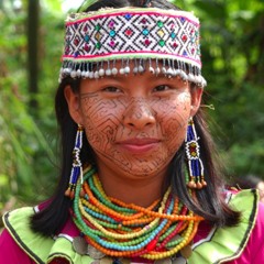 Tribus1 from Herbert Quinteros (My Interpretation)