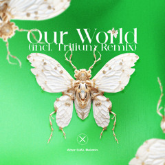 Alter (AU), Bolotin - Our World (Trilium Remix)